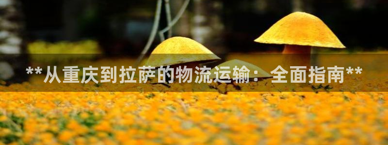 28圈官网版所有版本
