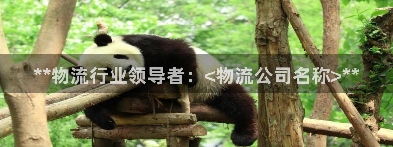 28圈注册上限是啥意思：**物流行业