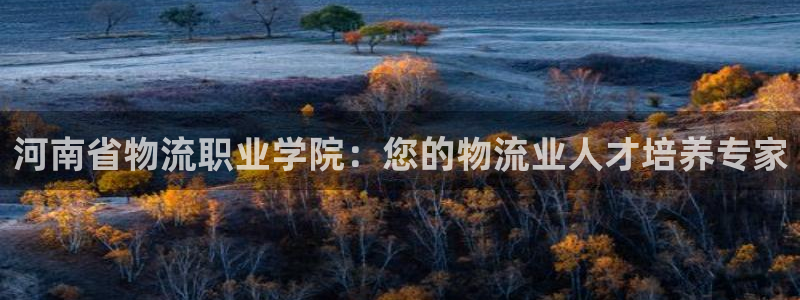 28圈口内径是多大