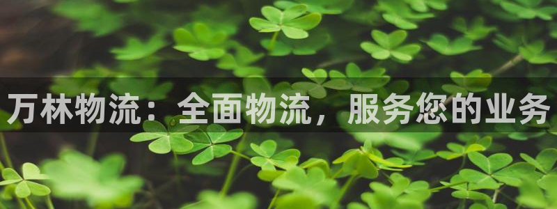 28圈注册链接：万林物流：全面物流，