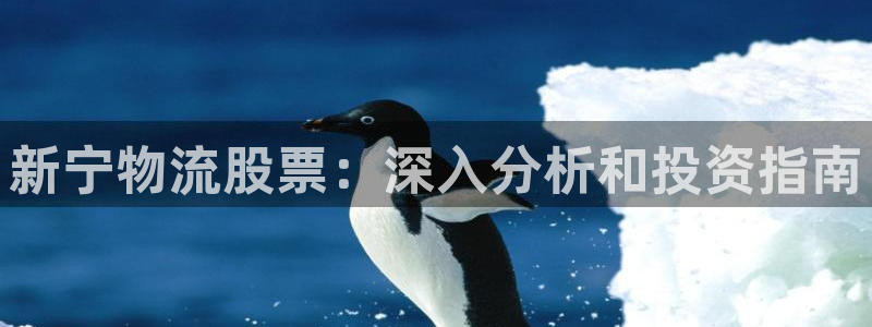 28圈违法吗：新宁物流股票：深入分析