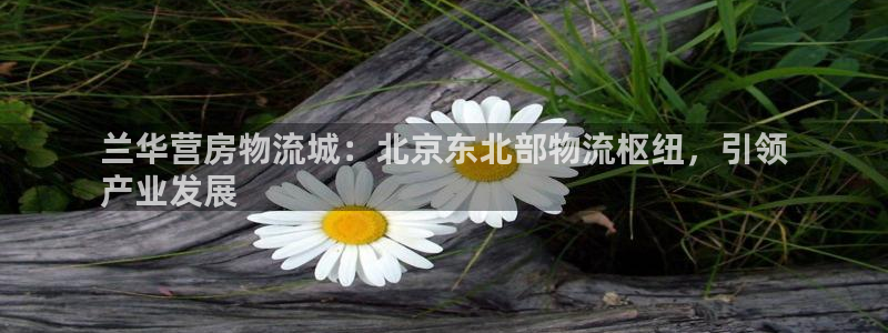 28圈辅助