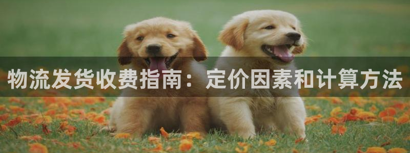 28圈.ccm正版