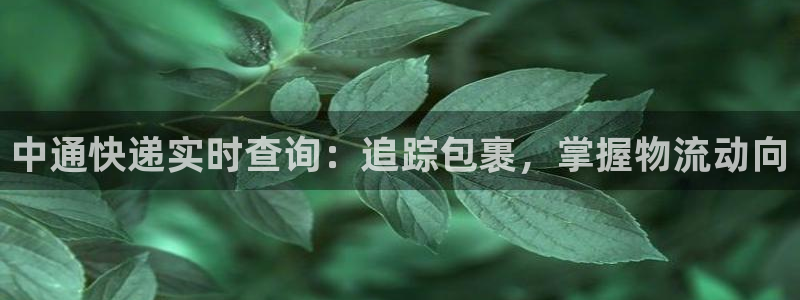 28圈怎么注册游戏名字：中通快递实时