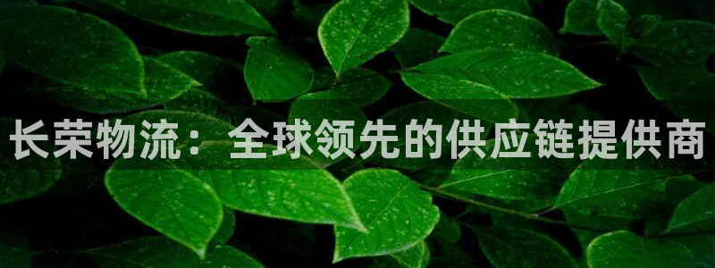 28圈最稳打法