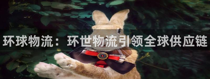 28圈加拿大能提现吗：环球物流：环世