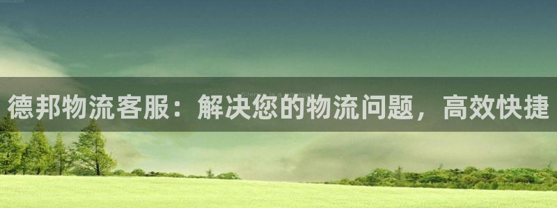 28圈软件