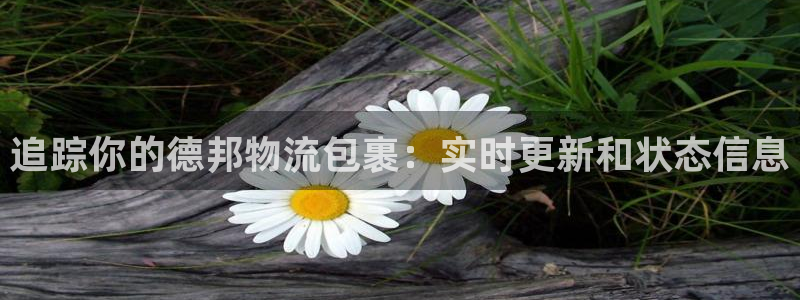 28圈怎么申请代理