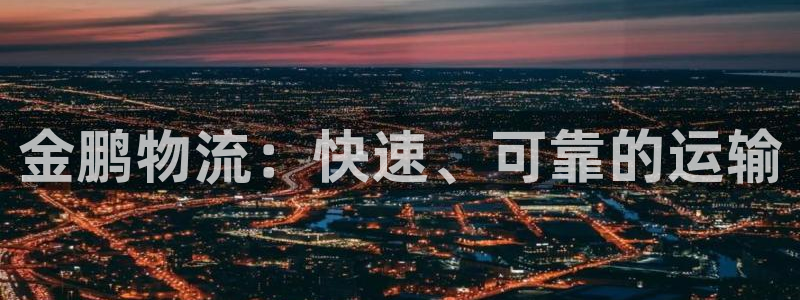 28圈旗下：金鹏物流：快速、可靠的运