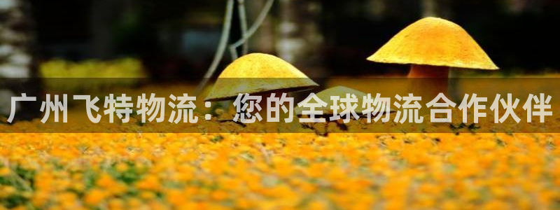 28圈网赌有什么风险