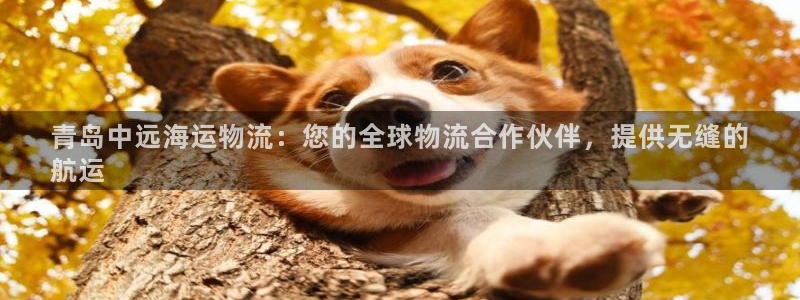 28圈官方