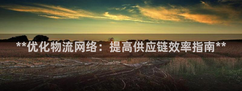 28圈登录网：**优化物流网络：提高