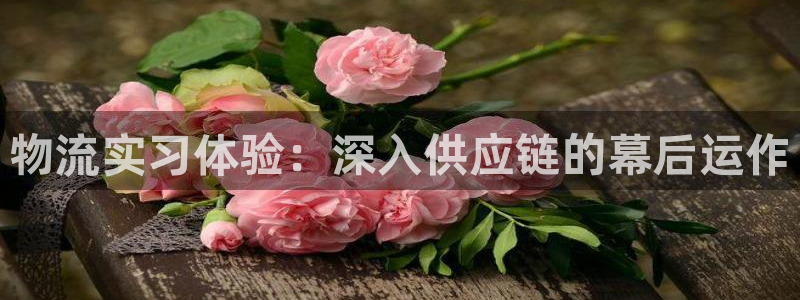28圈软件是什么：物流实习体验：深入