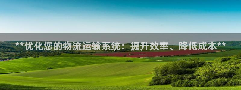 28圈注册：**优化您的物流运输系统