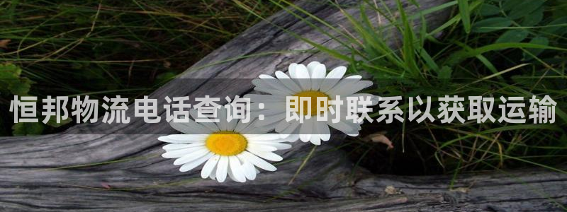 28圈登录不上咋回事：恒邦物流电话查