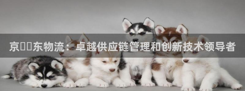 28圈充值不到账什么原因