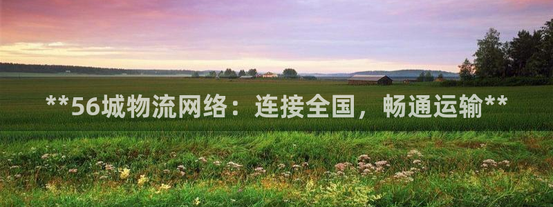 28圈p扣除