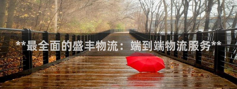 28圈充值不处理：**最全面的盛丰物