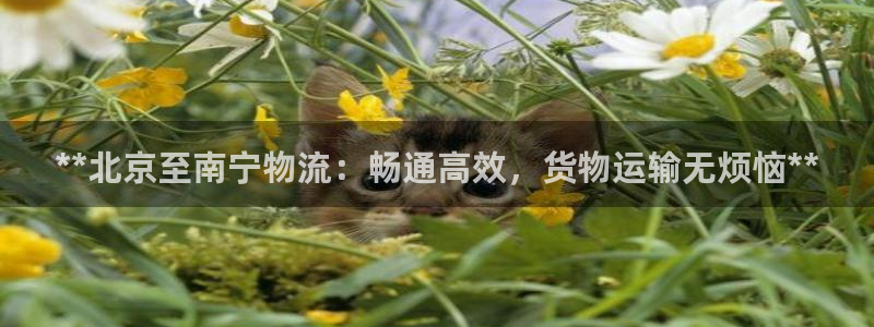 28圈退款教程：**北京至南宁物流：