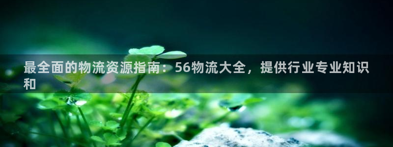 28圈模拟器下载：最全面的物流资源指