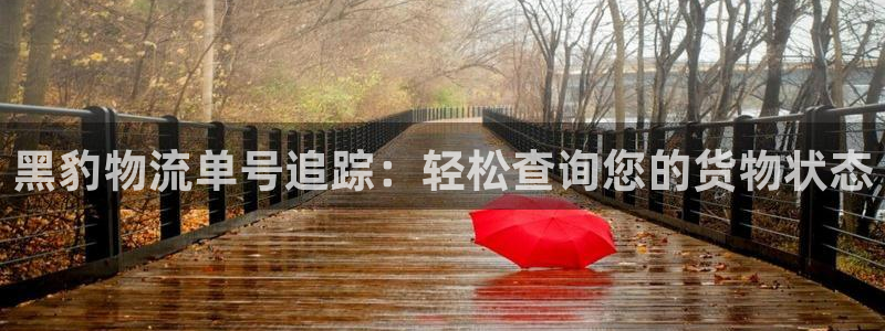 28圈注册送：黑豹物流单号追踪：轻松
