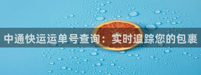28圈注册网址：中通快运运单号查询：
