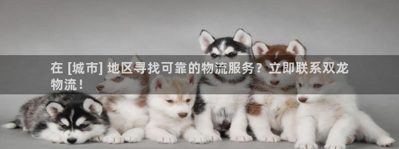 28圈加拿大