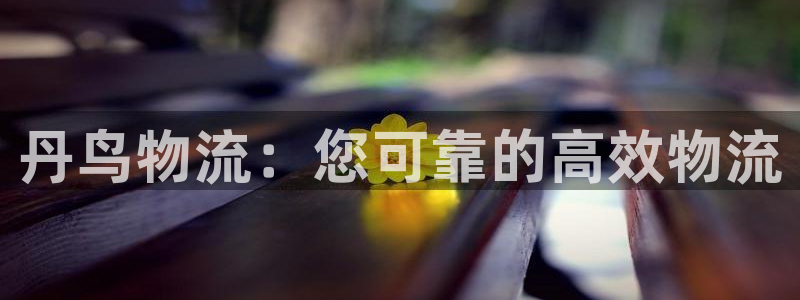 28圈连接