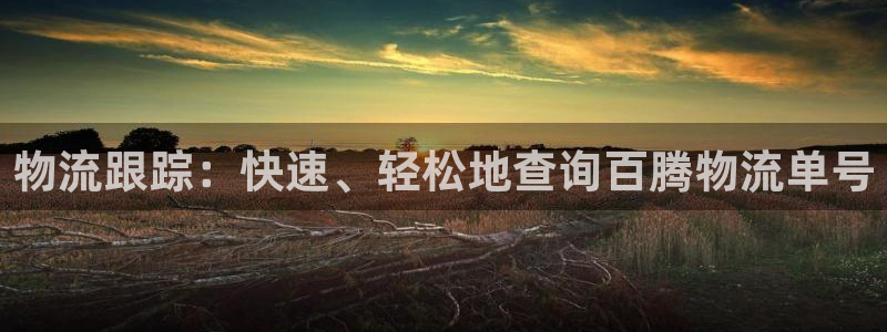 28圈龙虎