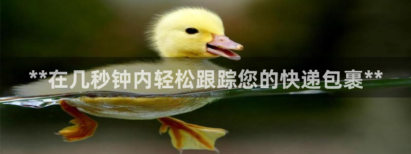 28圈官网下载链接是什么