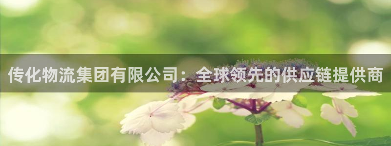 28圈娱乐官网网页
