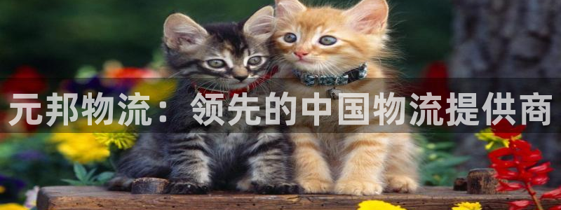 28圈官方版网站
