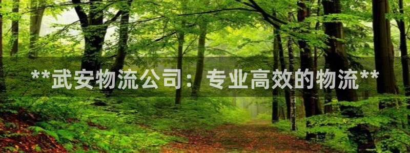 28圈大神预测：**武安物流公司：专