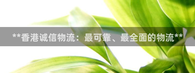 28圈现在狂杀