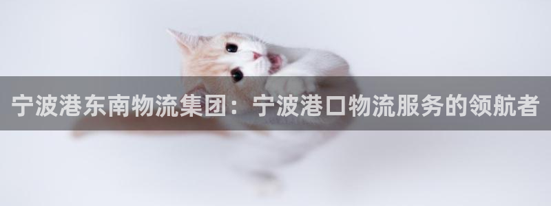 28圈推广链接是多少粉丝