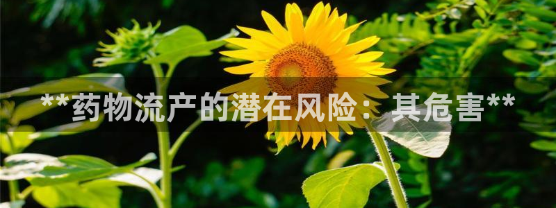 28圈赌博软件正规吗