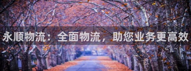 28圈代理落网