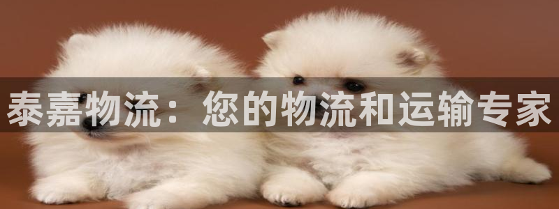 28圈黑吗