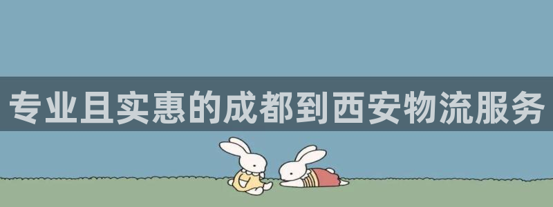 28圈p扣款什么意思