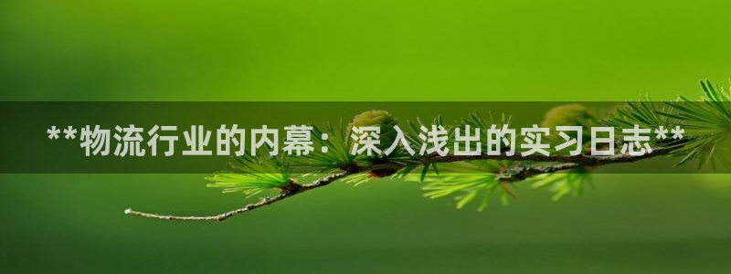 28圈aPP退款