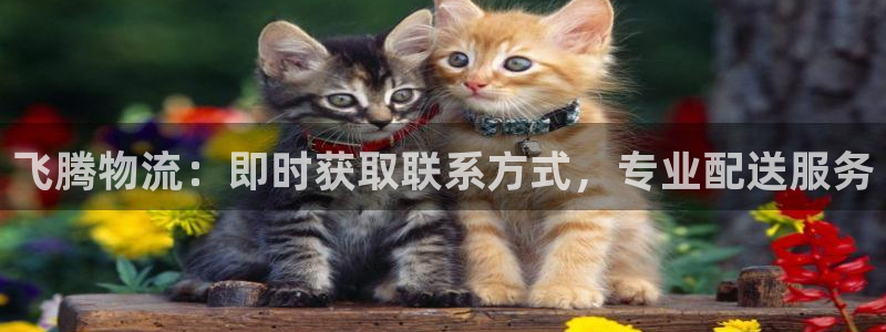 28圈注册官网