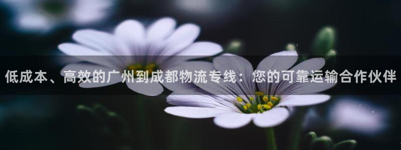 28圈官网版所有版本