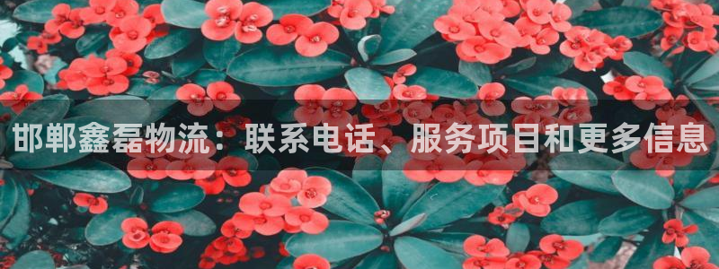 28圈玩法