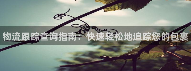 28圈aPP退款