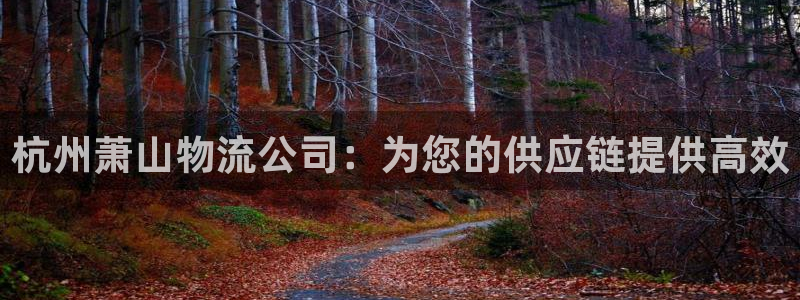 28圈充值不到账