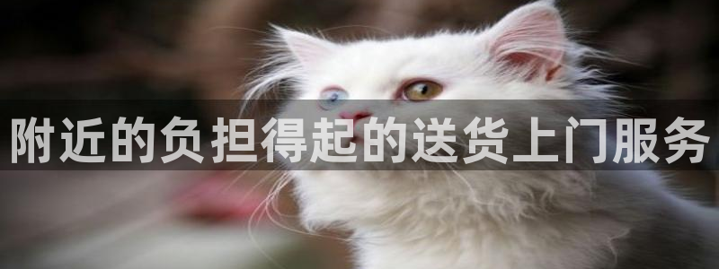 28圈如何注销账号