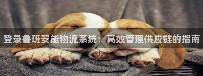 28圈能赢钱吗