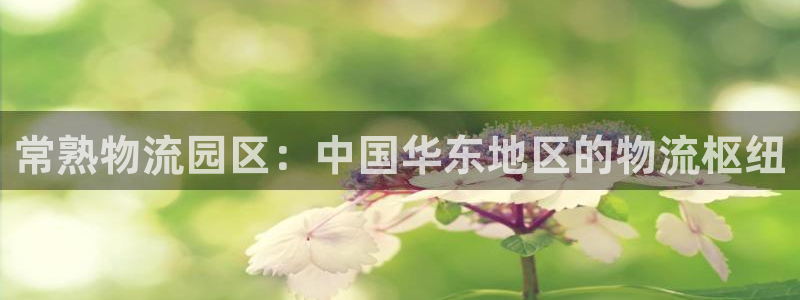 28圈玩法