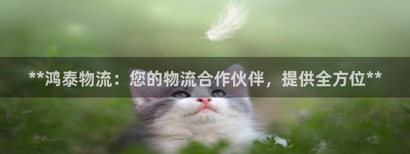 28圈模拟器下载
