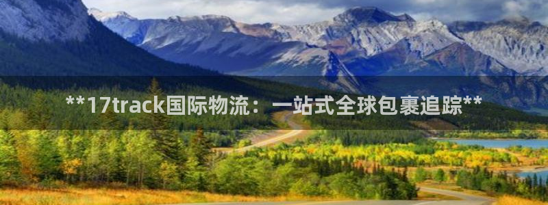 28圈登录网：**17track国际